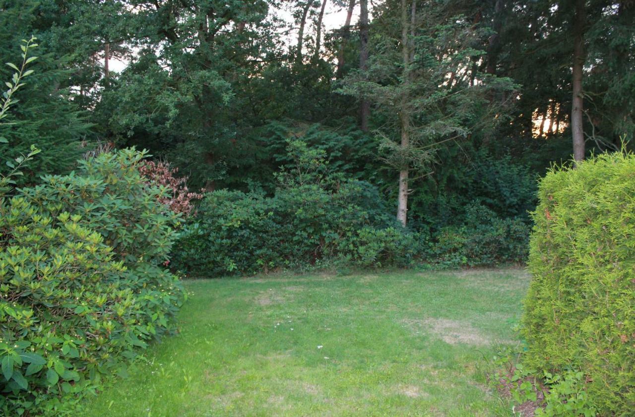 Knusse Bungalow Otterlo Veluwe Exterior foto